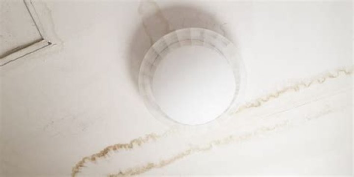 What damage can a leaking roof cause