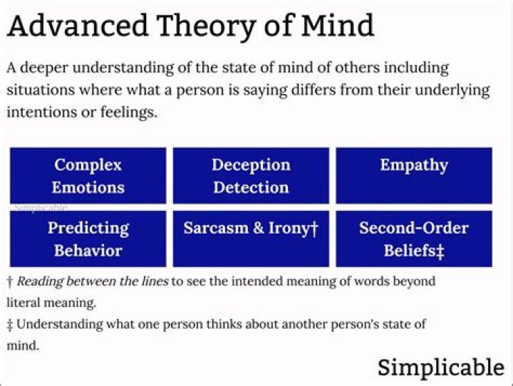 What is the difference between theory of mind and perspective taking