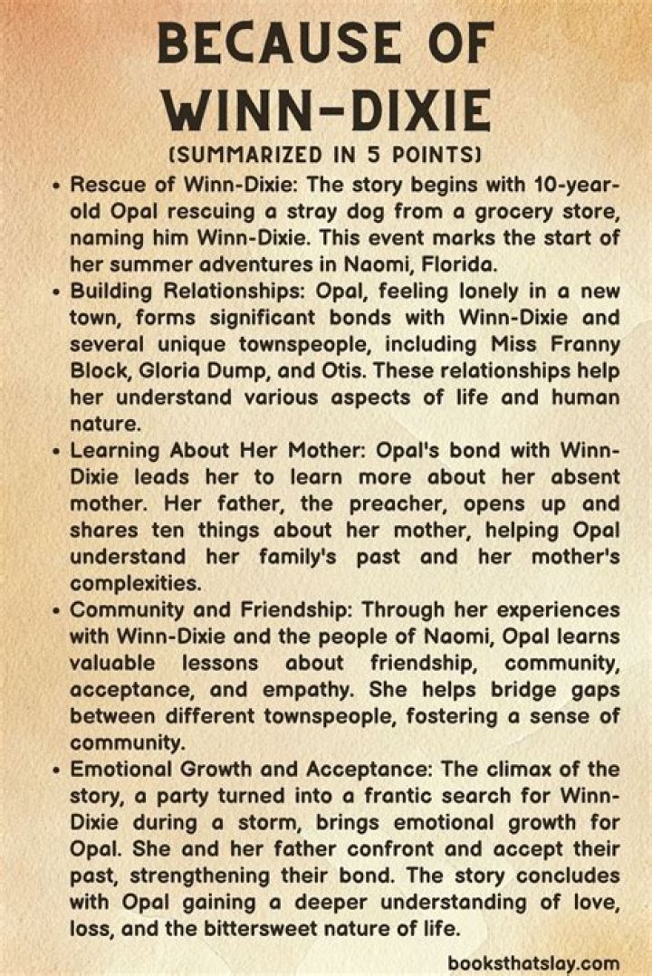 What is the moral of Because of Winn Dixie